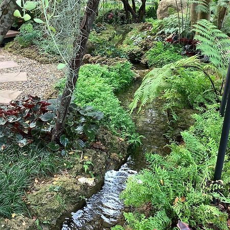 Bangnu Greenery Resort Takua Thung Dış mekan fotoğraf