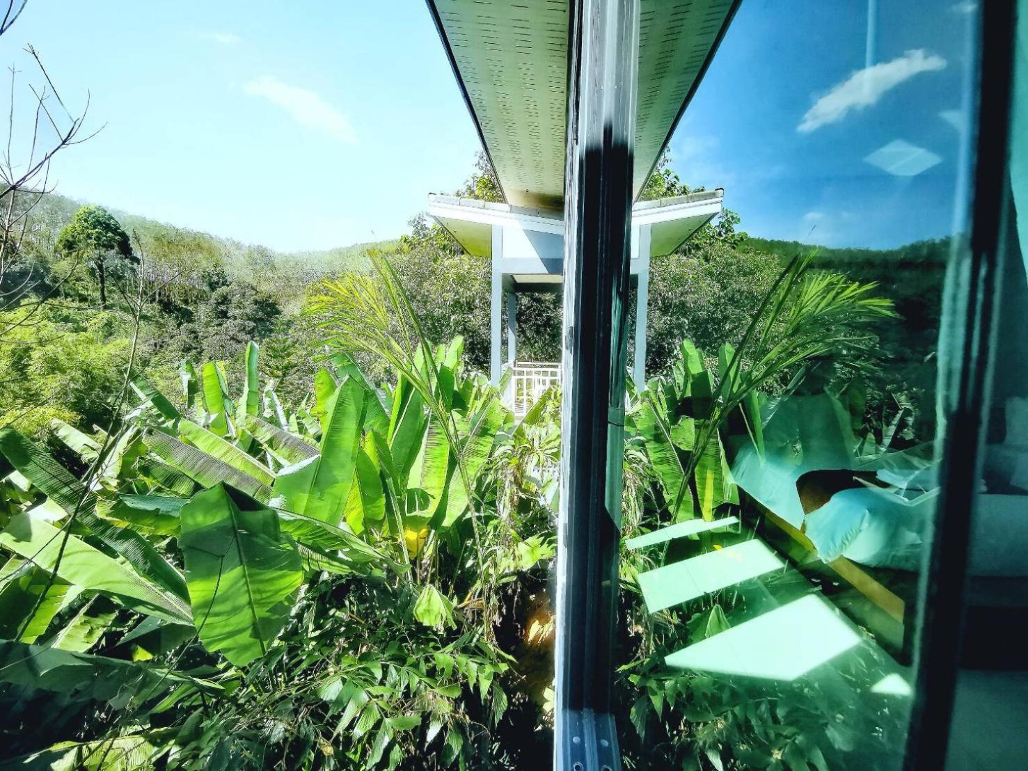 Bangnu Greenery Resort Takua Thung Dış mekan fotoğraf