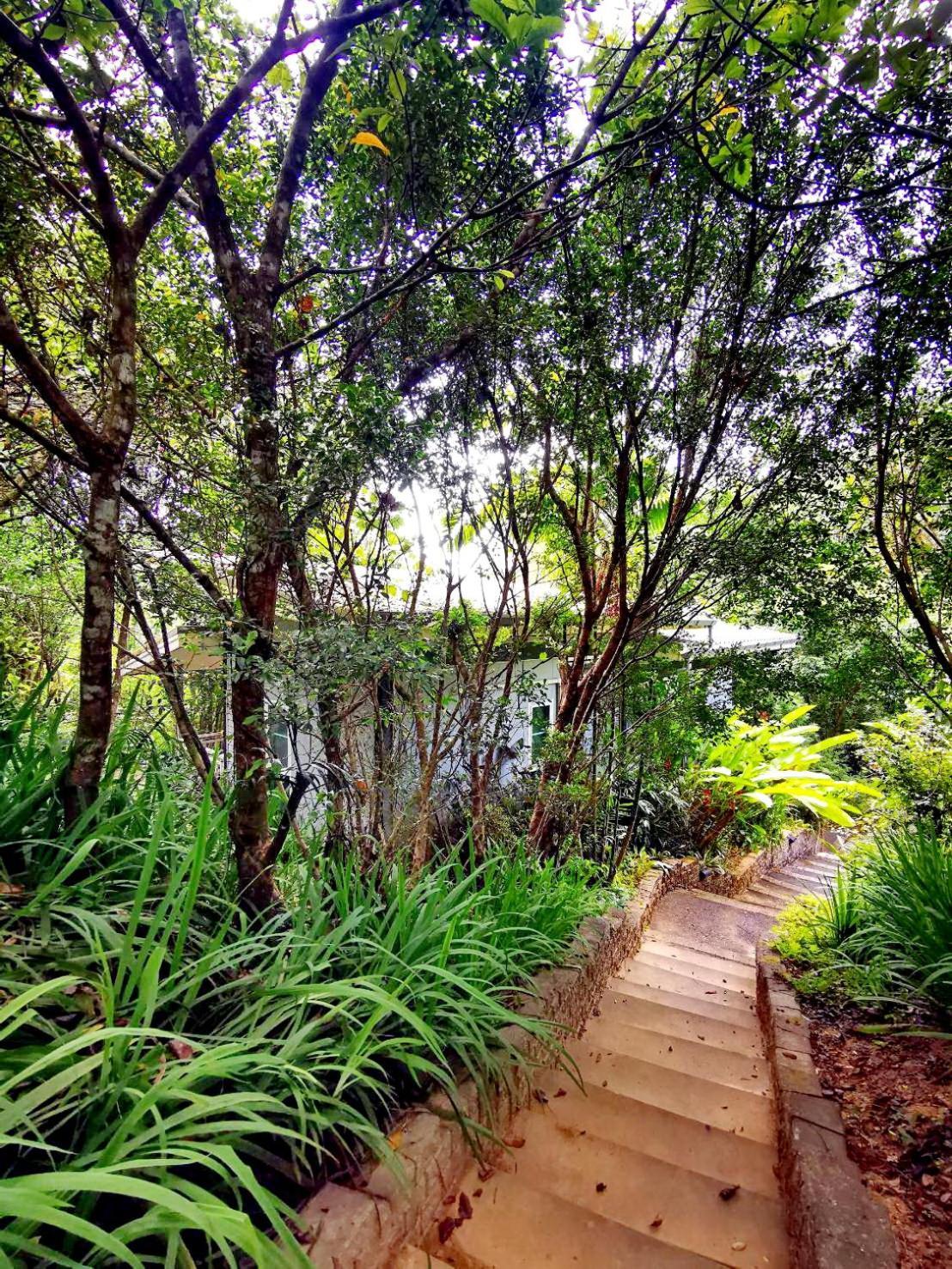 Bangnu Greenery Resort Takua Thung Dış mekan fotoğraf