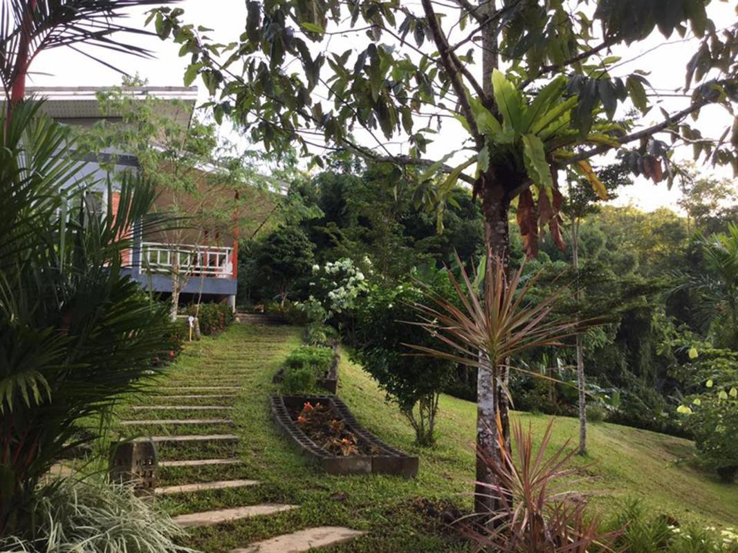 Bangnu Greenery Resort Takua Thung Dış mekan fotoğraf