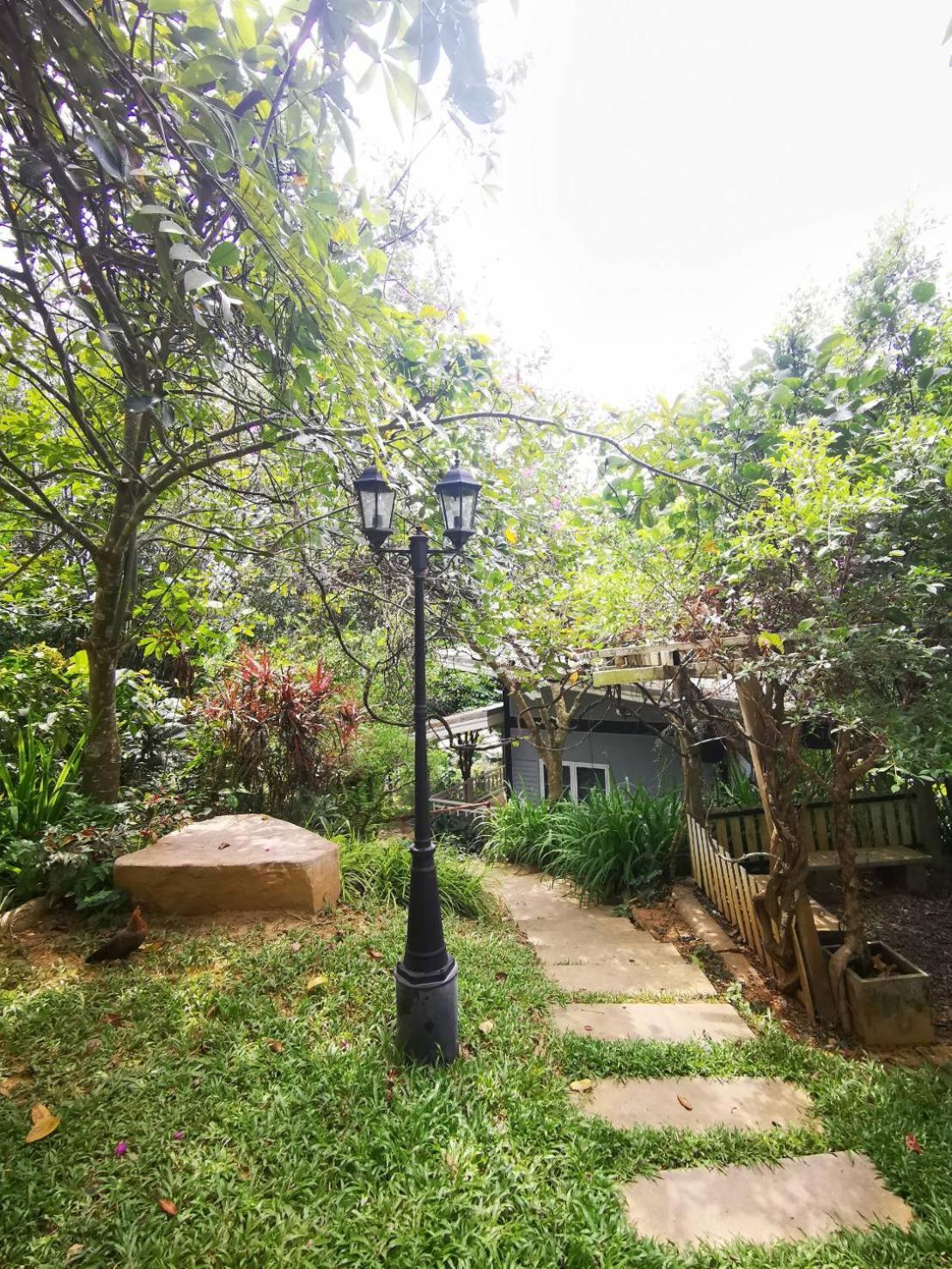 Bangnu Greenery Resort Takua Thung Dış mekan fotoğraf