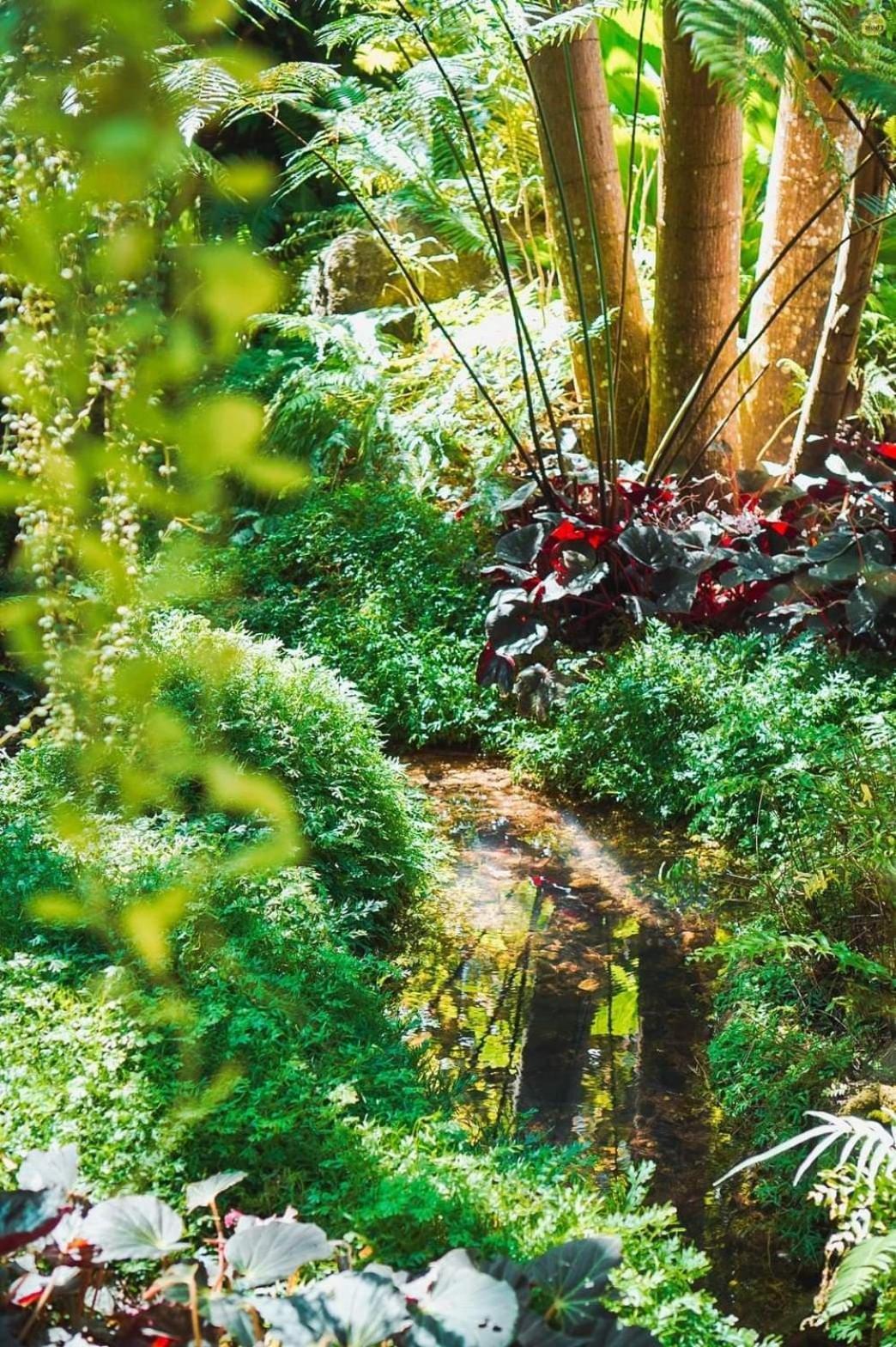 Bangnu Greenery Resort Takua Thung Dış mekan fotoğraf