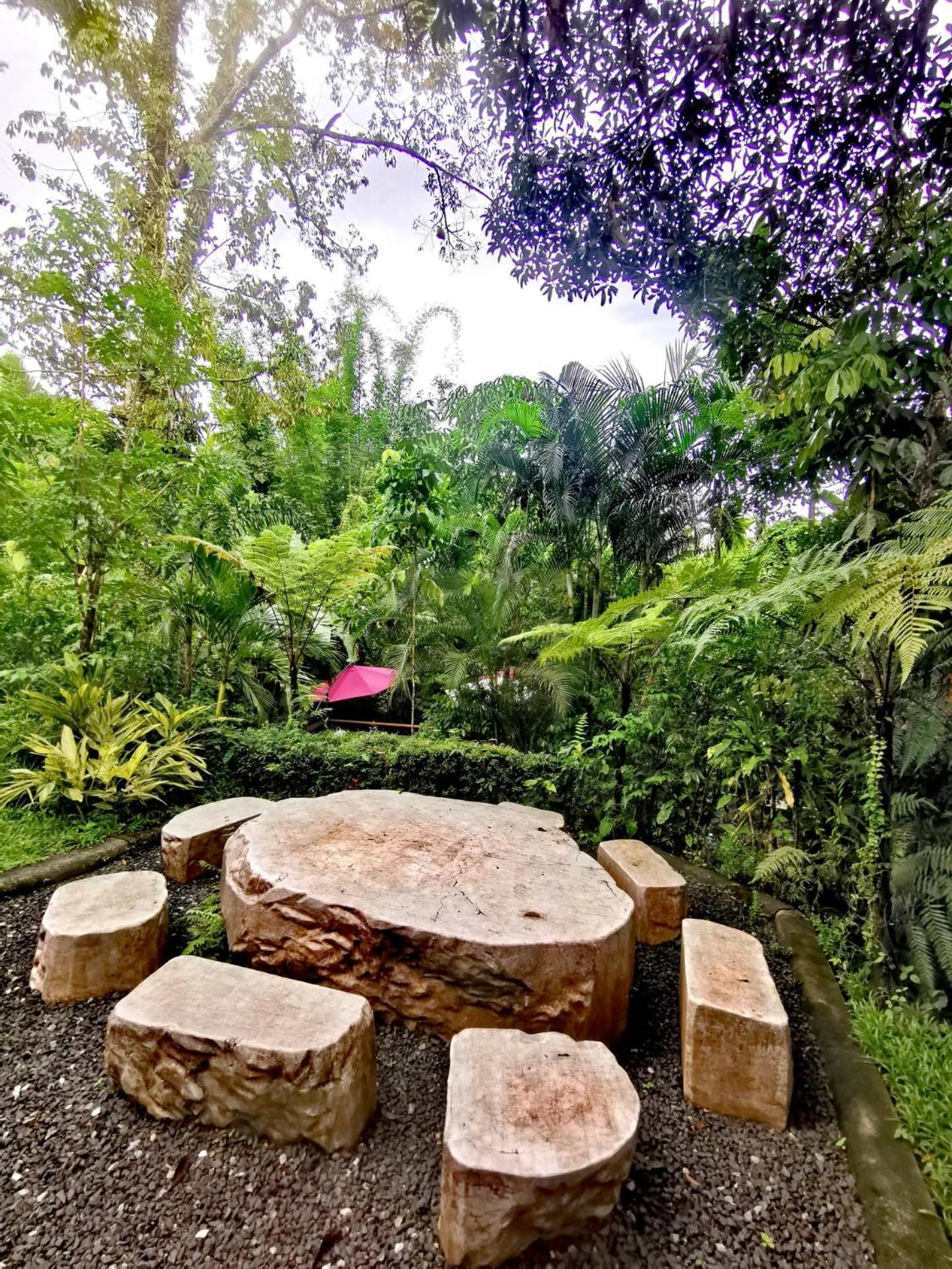 Bangnu Greenery Resort Takua Thung Dış mekan fotoğraf