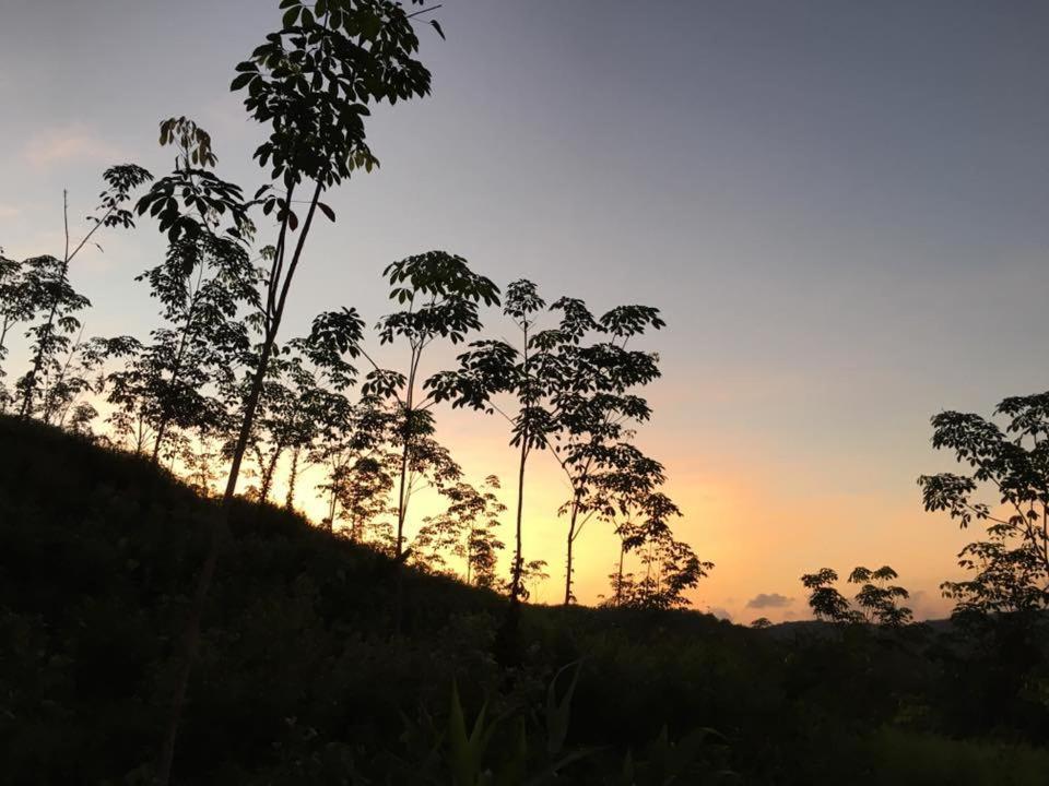 Bangnu Greenery Resort Takua Thung Dış mekan fotoğraf
