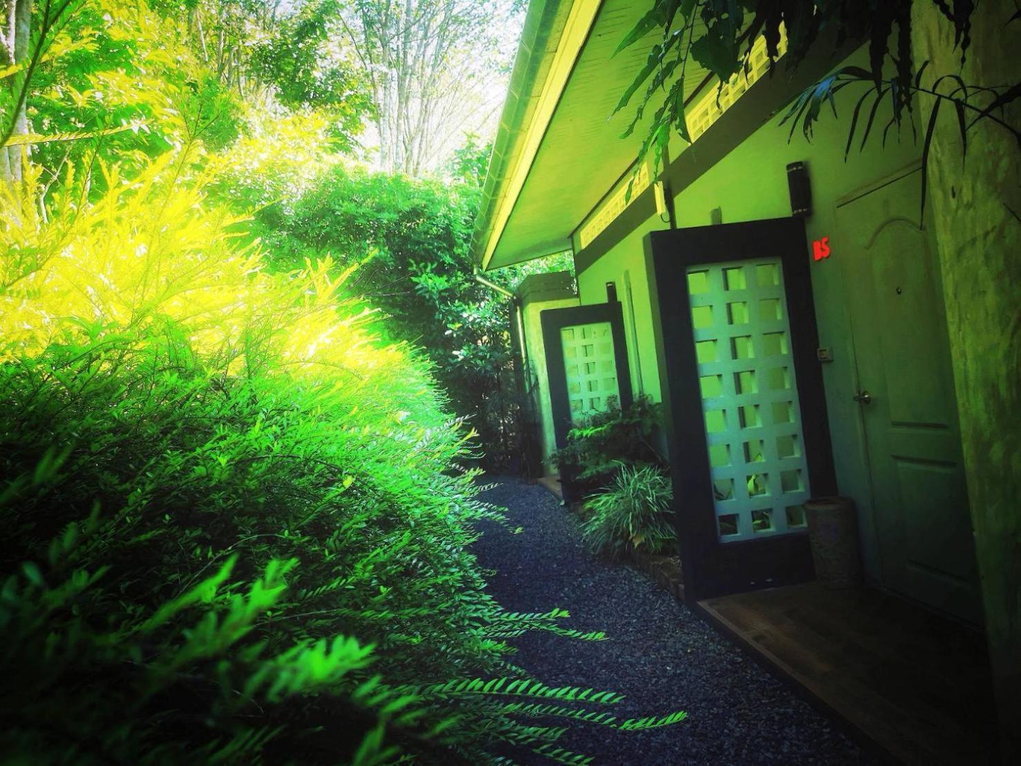 Bangnu Greenery Resort Takua Thung Dış mekan fotoğraf